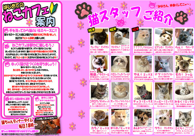 動物カフェ
