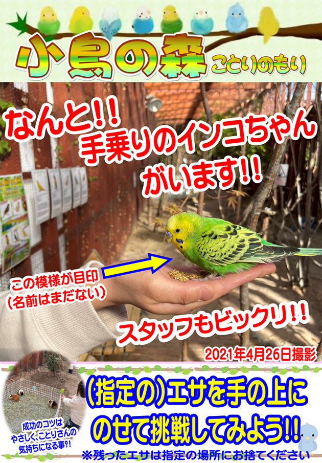 動物カフェ  アミューズパーク郡山
