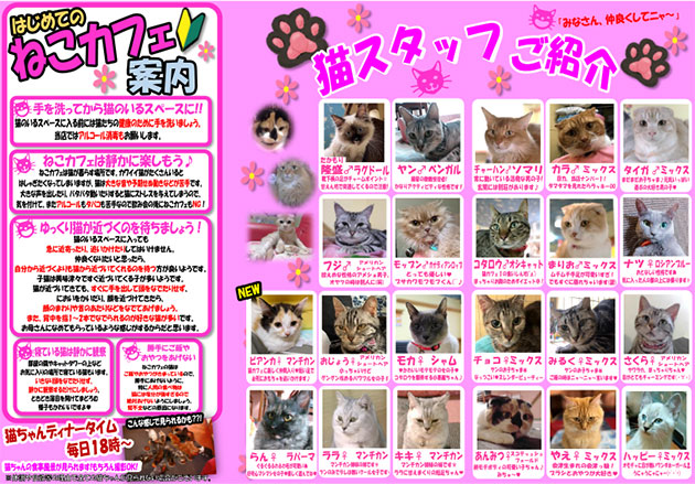 動物カフェ