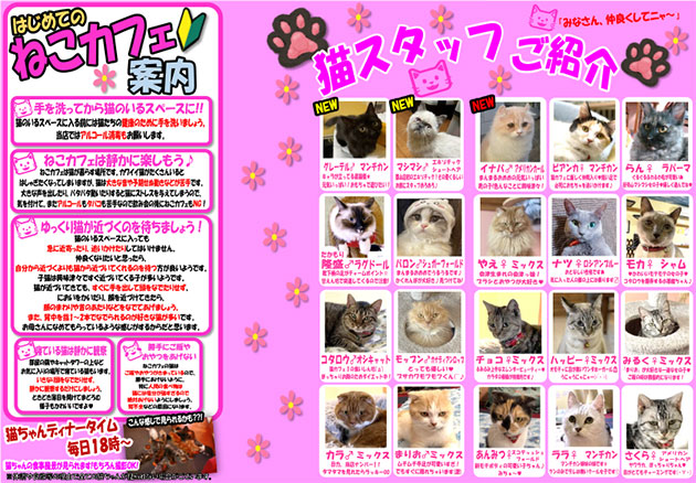 動物カフェ